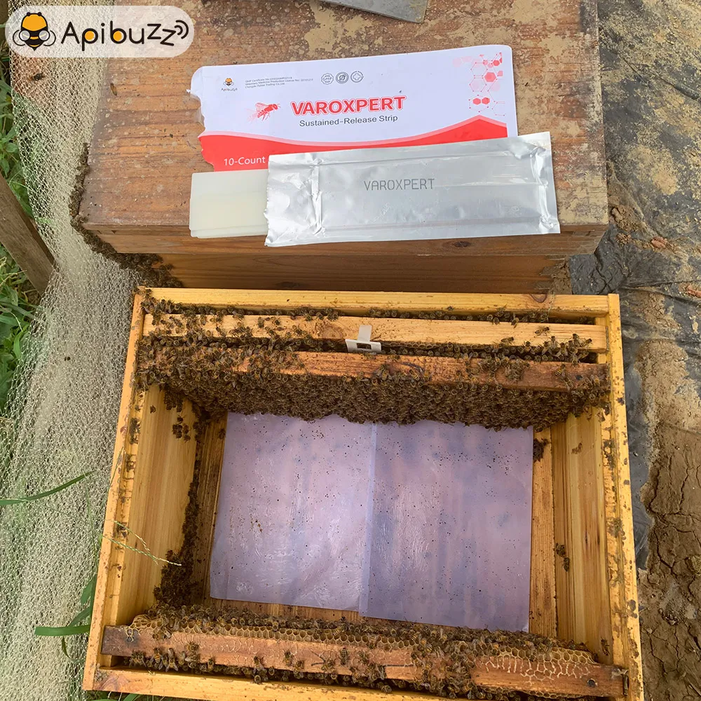 Bandelettes VAROXPERT Amitraz Varroa à libération lente