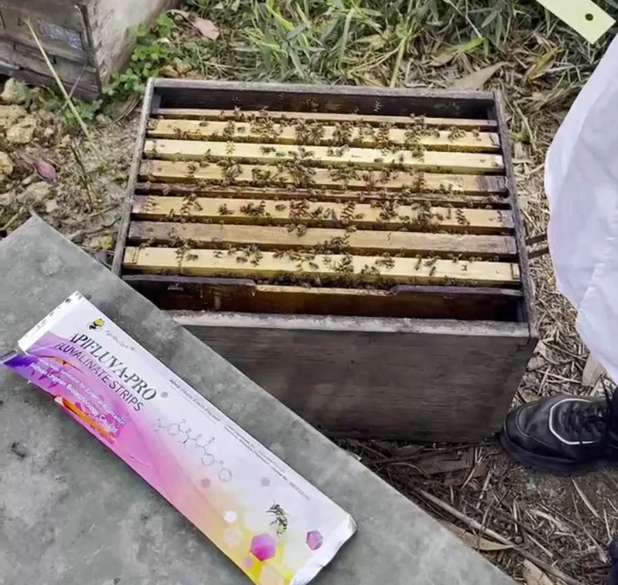 Solutions contre les infestations graves d’acariens ou la résistance aux médicaments