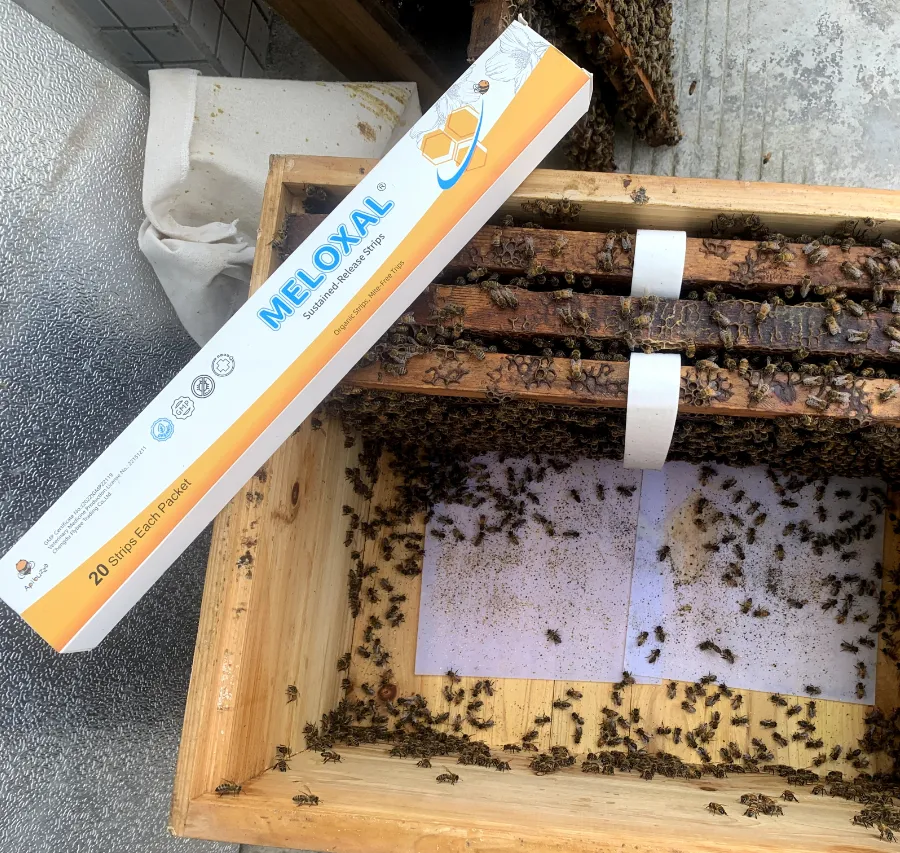 Contrôle des acariens pendant les flux de nectar de miel