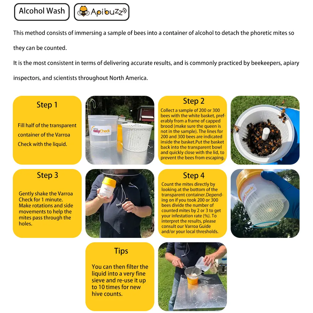 Varroa Vérification de l’infestation