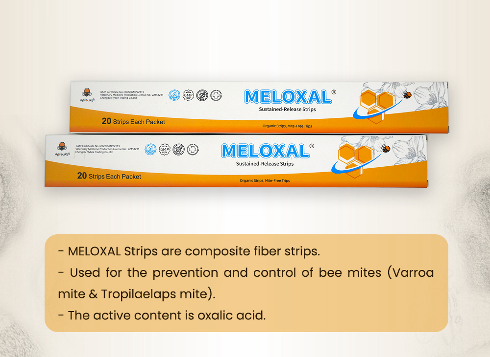 Bandelettes d'acide oxalique à haute dose MELOXAL