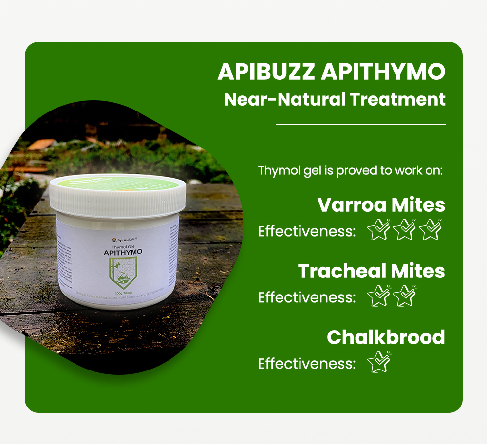 Traitement contre les acariens APITHYMO Thymol
