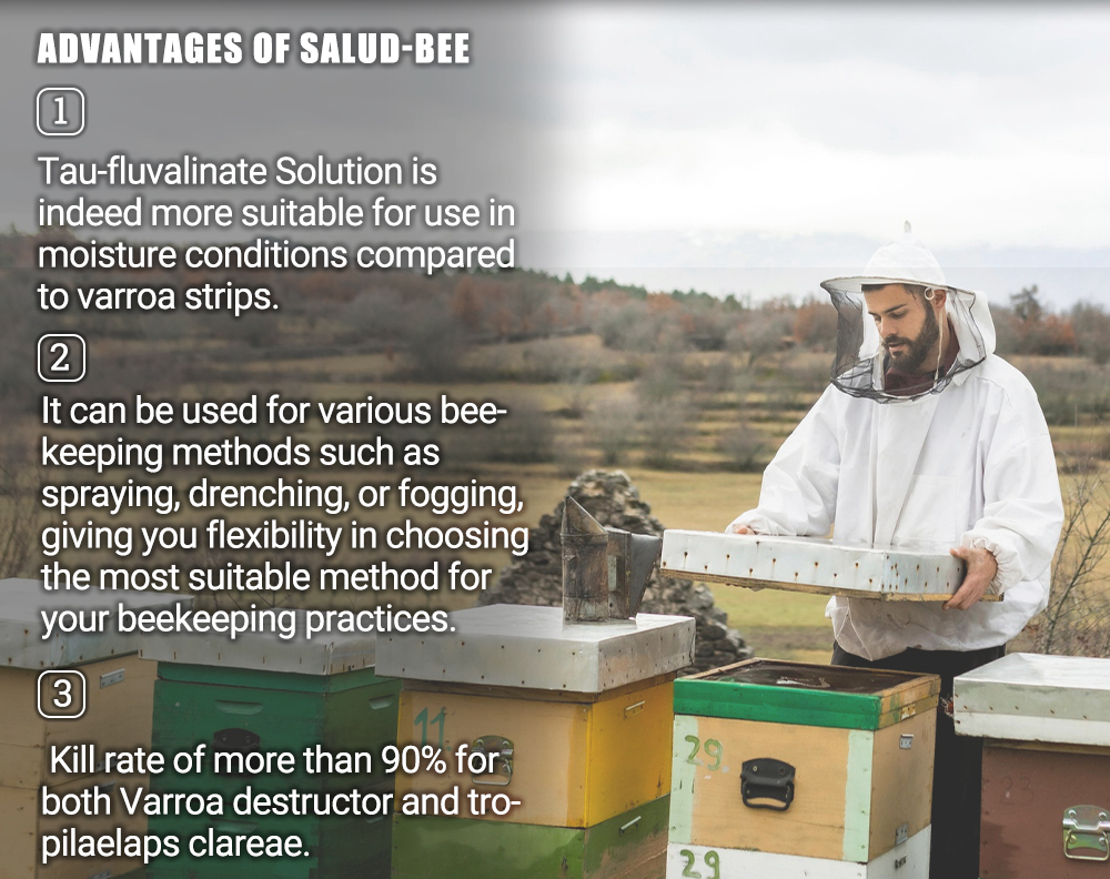 SALUD-BEE Solution de Tau-fluvalinate EW à 20 % pour les abeilles