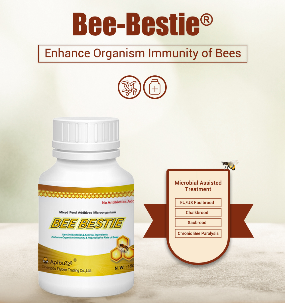 BEE-BESTIE - Compléments alimentaires microbiens pour abeilles
