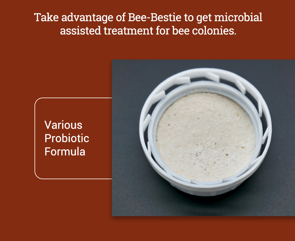 BEE-BESTIE - Compléments alimentaires microbiens pour abeilles