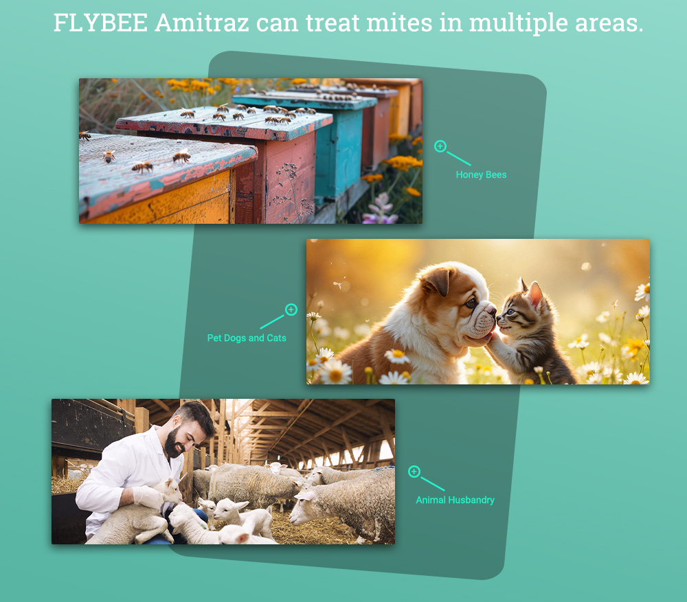 FLYBEE 1 Litre 12,5% EC Amitraze pour Abeilles
