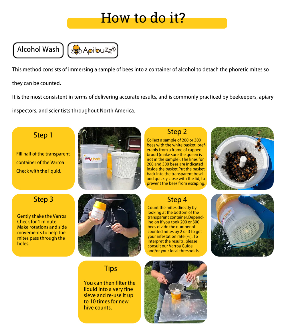 Varroa Vérification de l’infestation